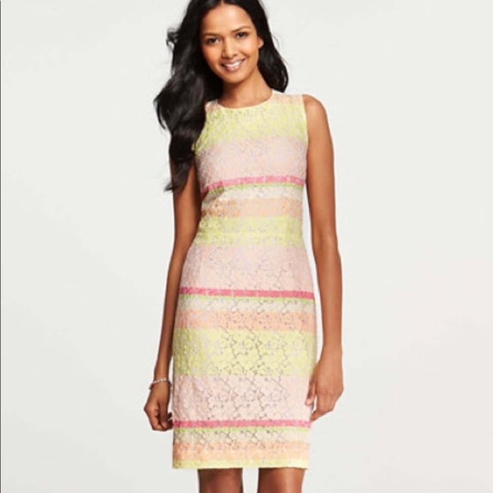Ann Taylor Lace Horizon Dress